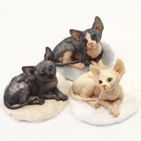 我的动物系列《小猫家族.明美》